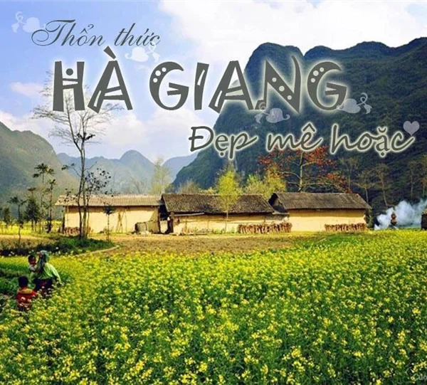 tour ha giang gia re
